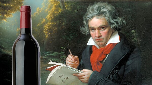 beethoven capelli piombo vino sordita