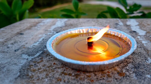 citronella