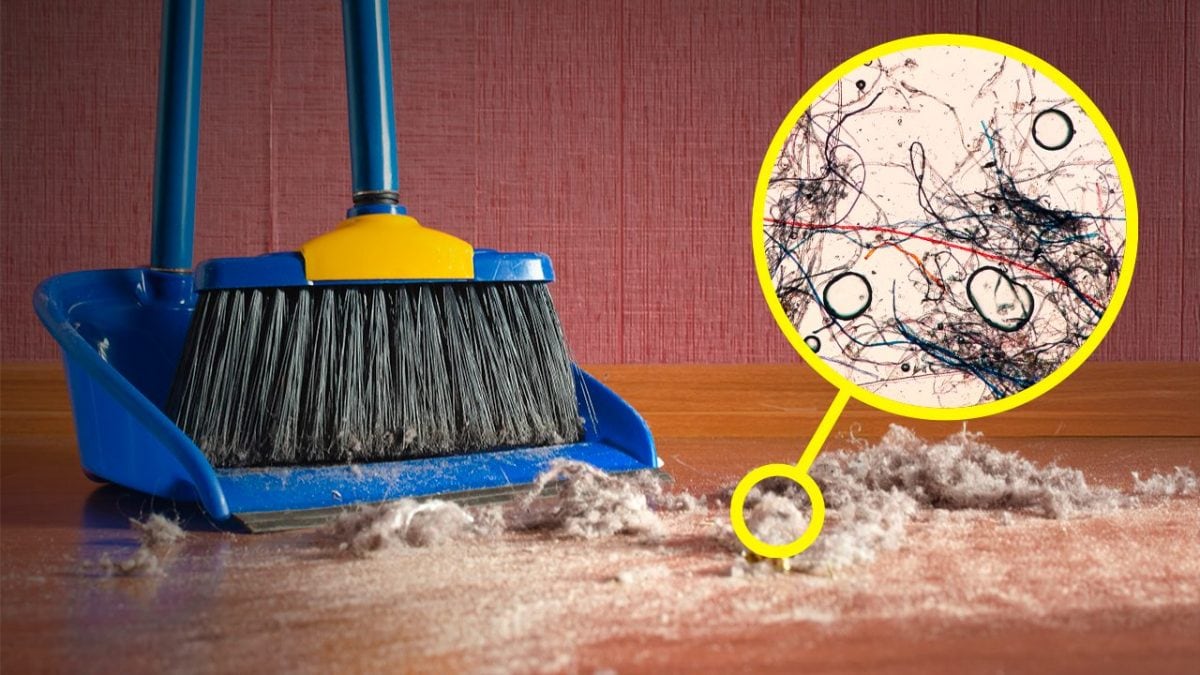 cos'e la polvere microscopio