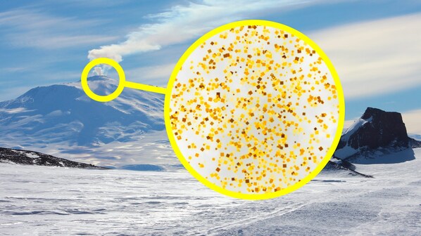 erebus oro