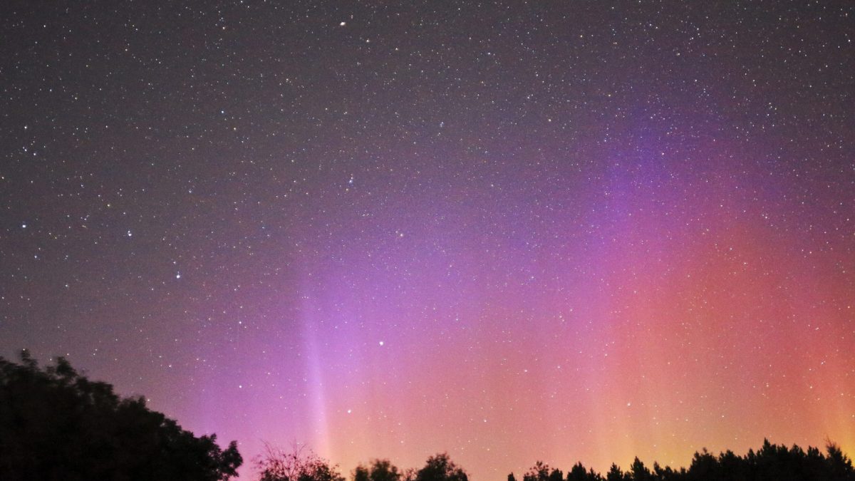 nuove aurore maggio 2024