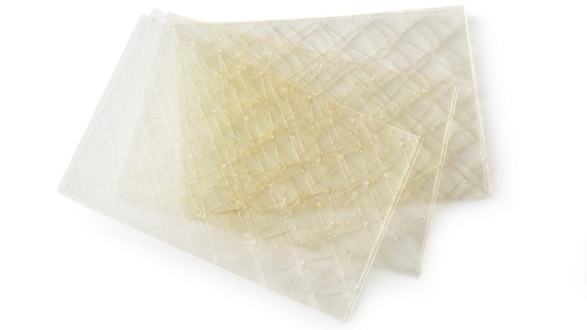 La colla di pesce non e fatta di pesce