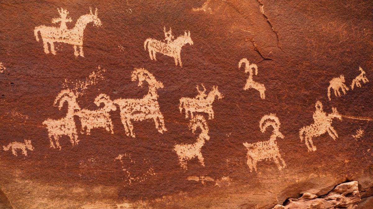 domesticazione animali