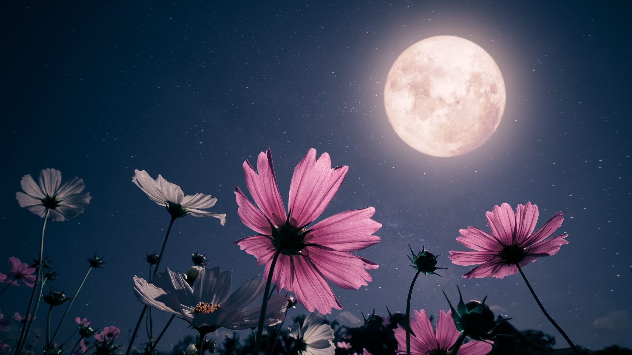 nomi lune piene