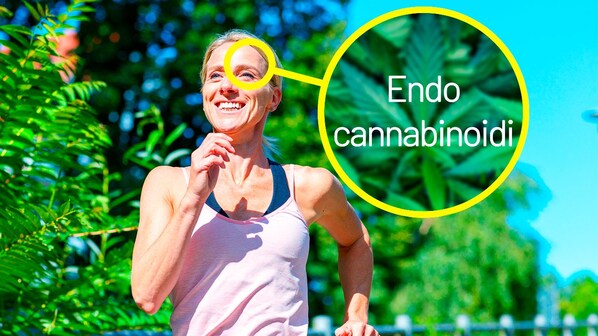 Correre ci fa sentire bene endocannabinoidi sballo del corridore