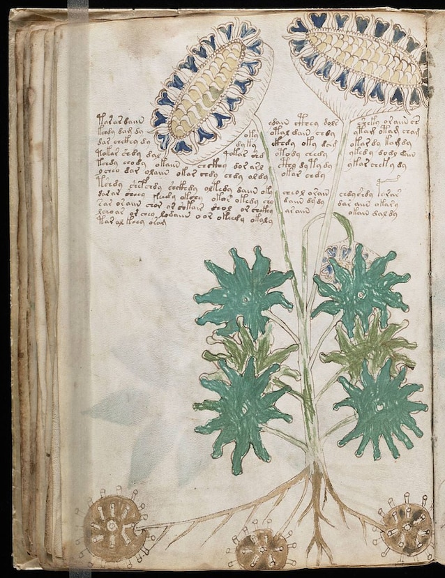 Dettaglio della sezione botanica