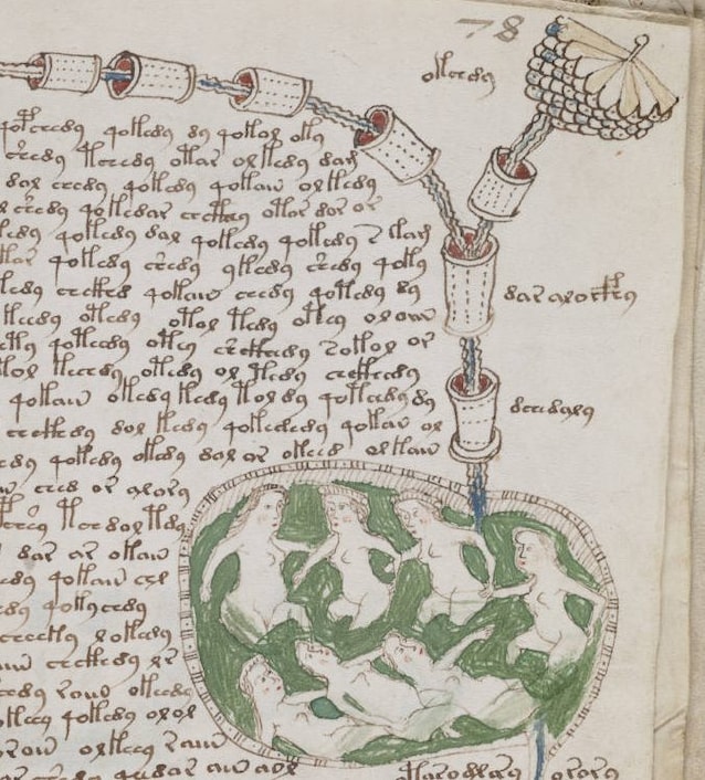 Foglio della sezione biologica