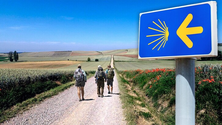 cammino di santiago de compostela guida sintetica completa