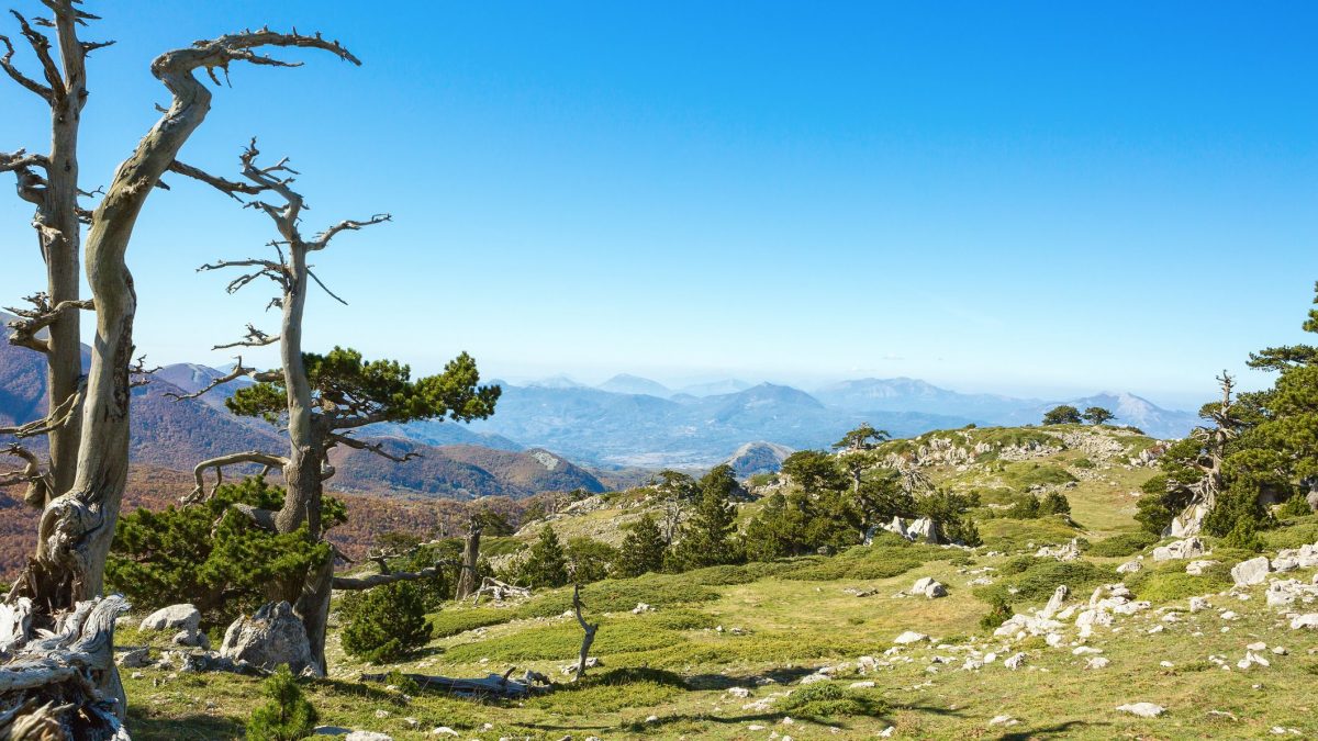 parco nazionale del pollino