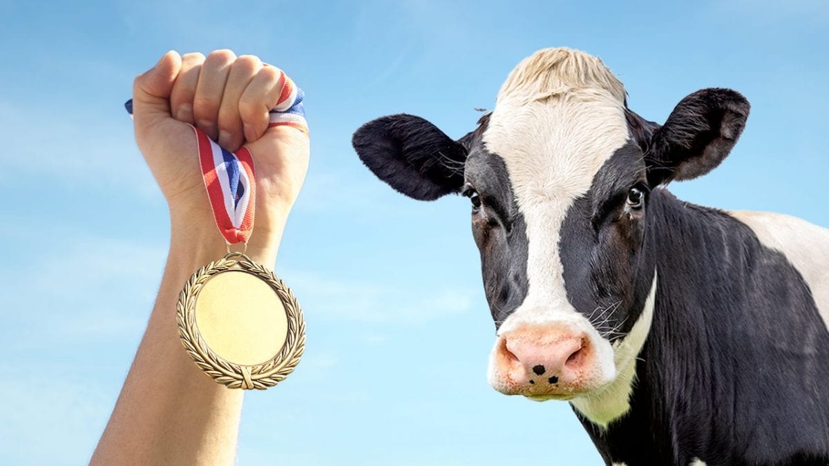 quanti soldi vince chi ottiene una medaglia alle olimpiadi