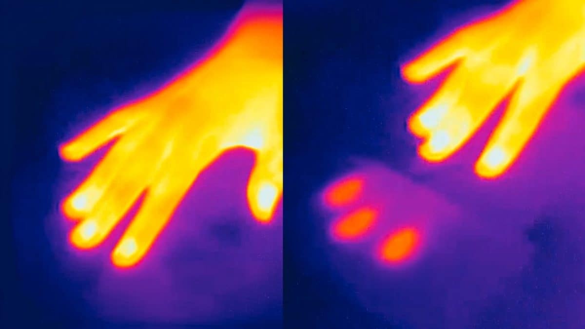 perché il metallo sembra freddo se lo tocchiamo?