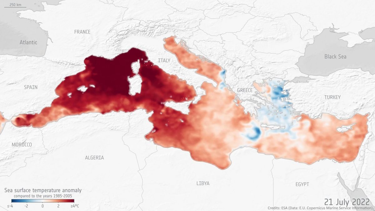 Anomalia temperatura mediterraneo con credits