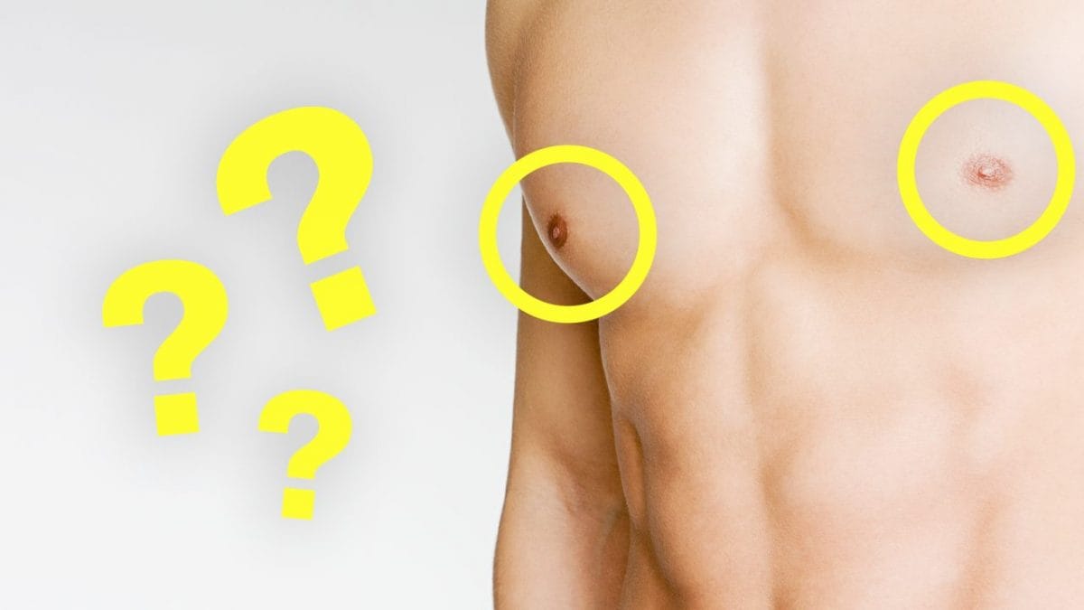 perche gli uomini hanno i capezzoli