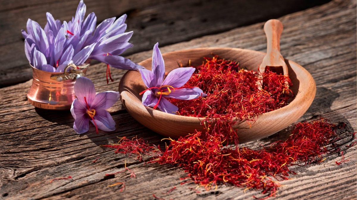 perche zafferano costa tanto