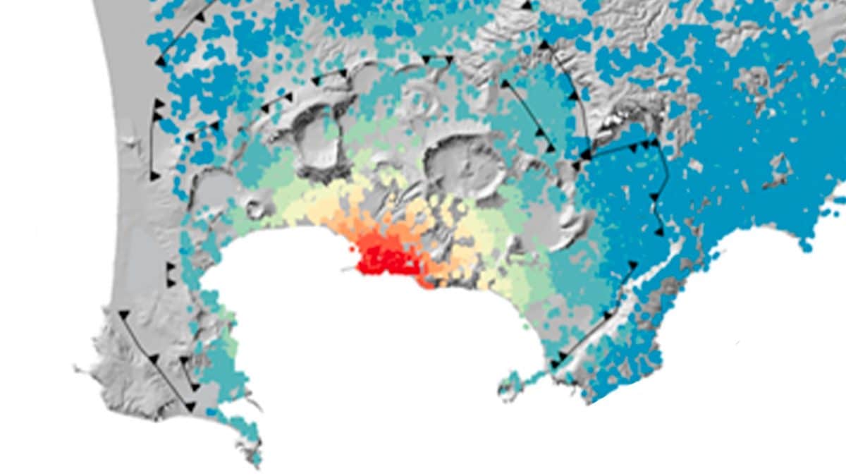 cause bradisismo set 24