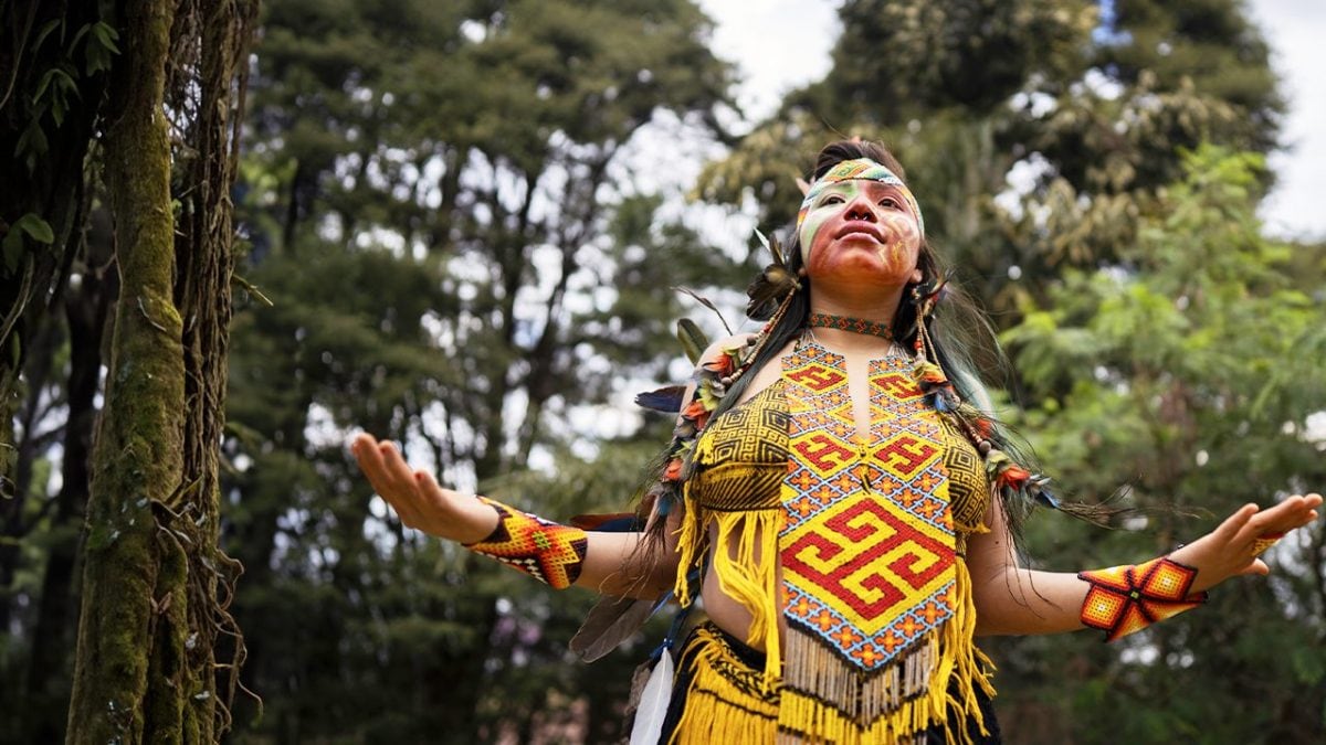 foreste pensano amazzonia tribu animismo