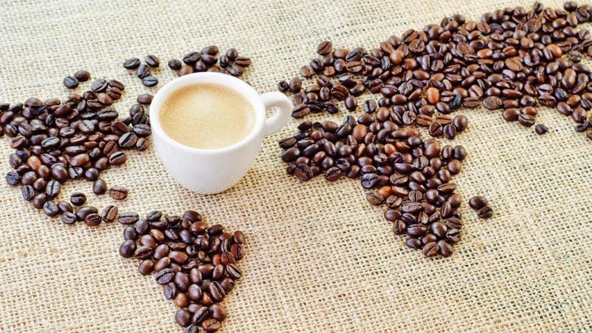 geopolitica del caffe mercato internazionale