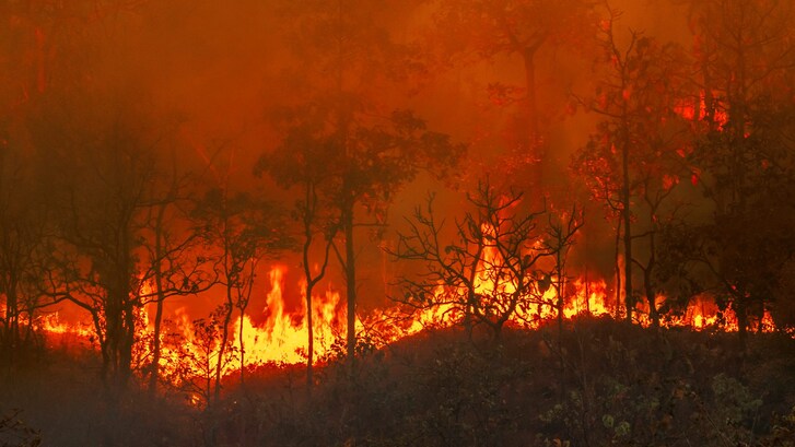 incendi brasile