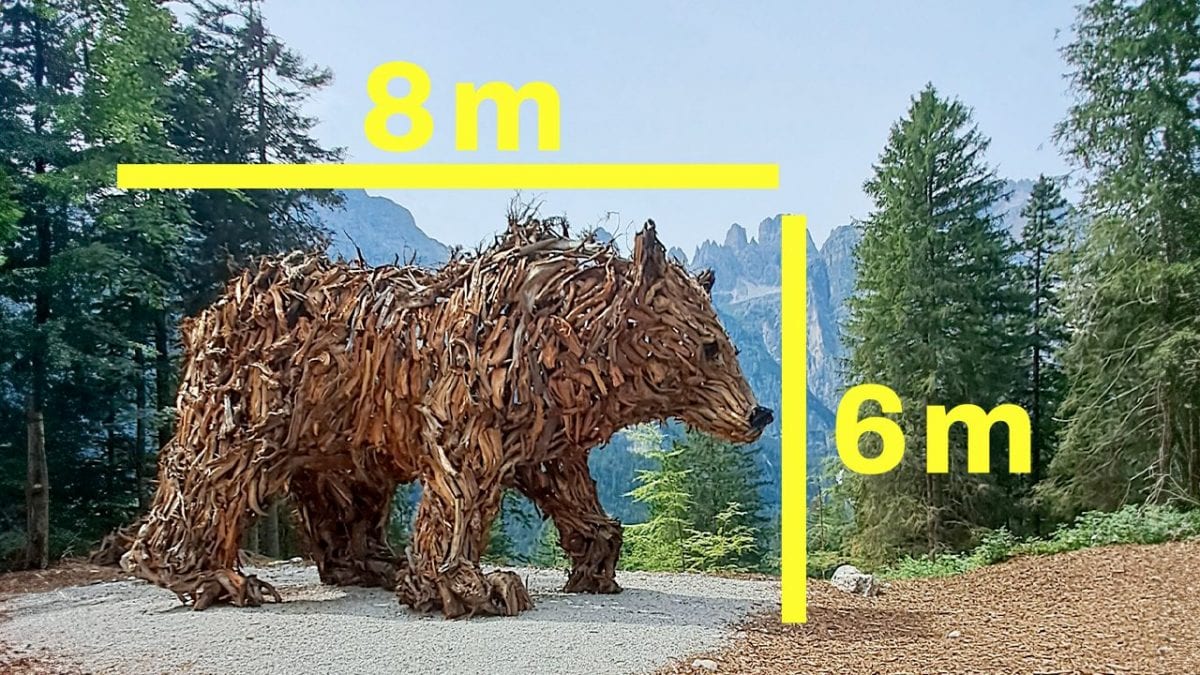 orso orsa vaia trentino martalar