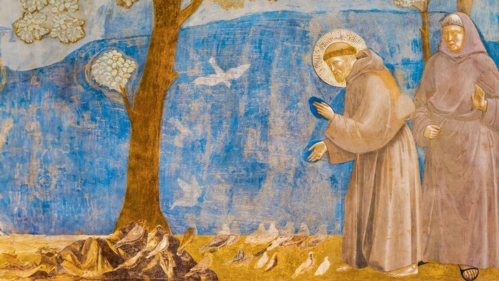 vera storia biografia san francesco assisi