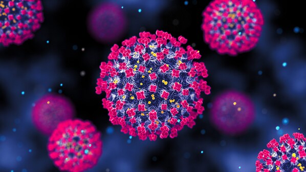 virus nipah india