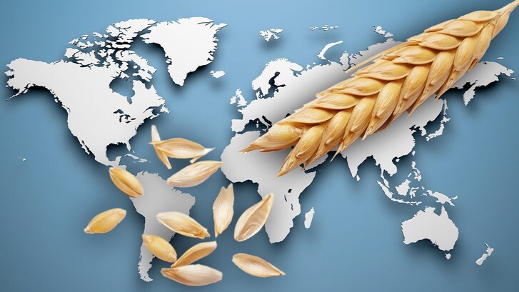geopolitica dei cereali