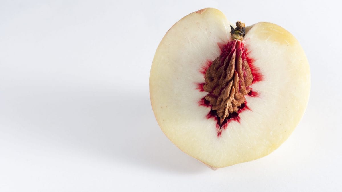 nocciolo delle pesche tossiche cosa contengono