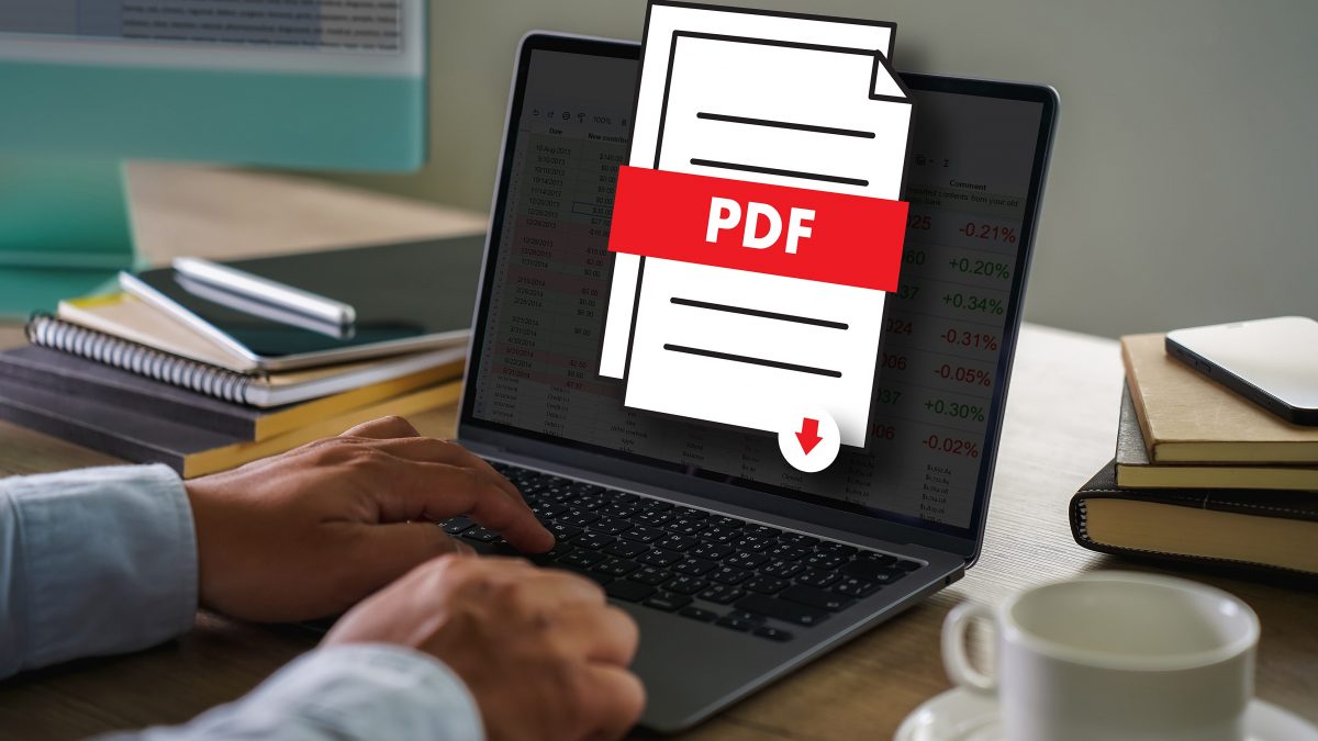 PDF formato