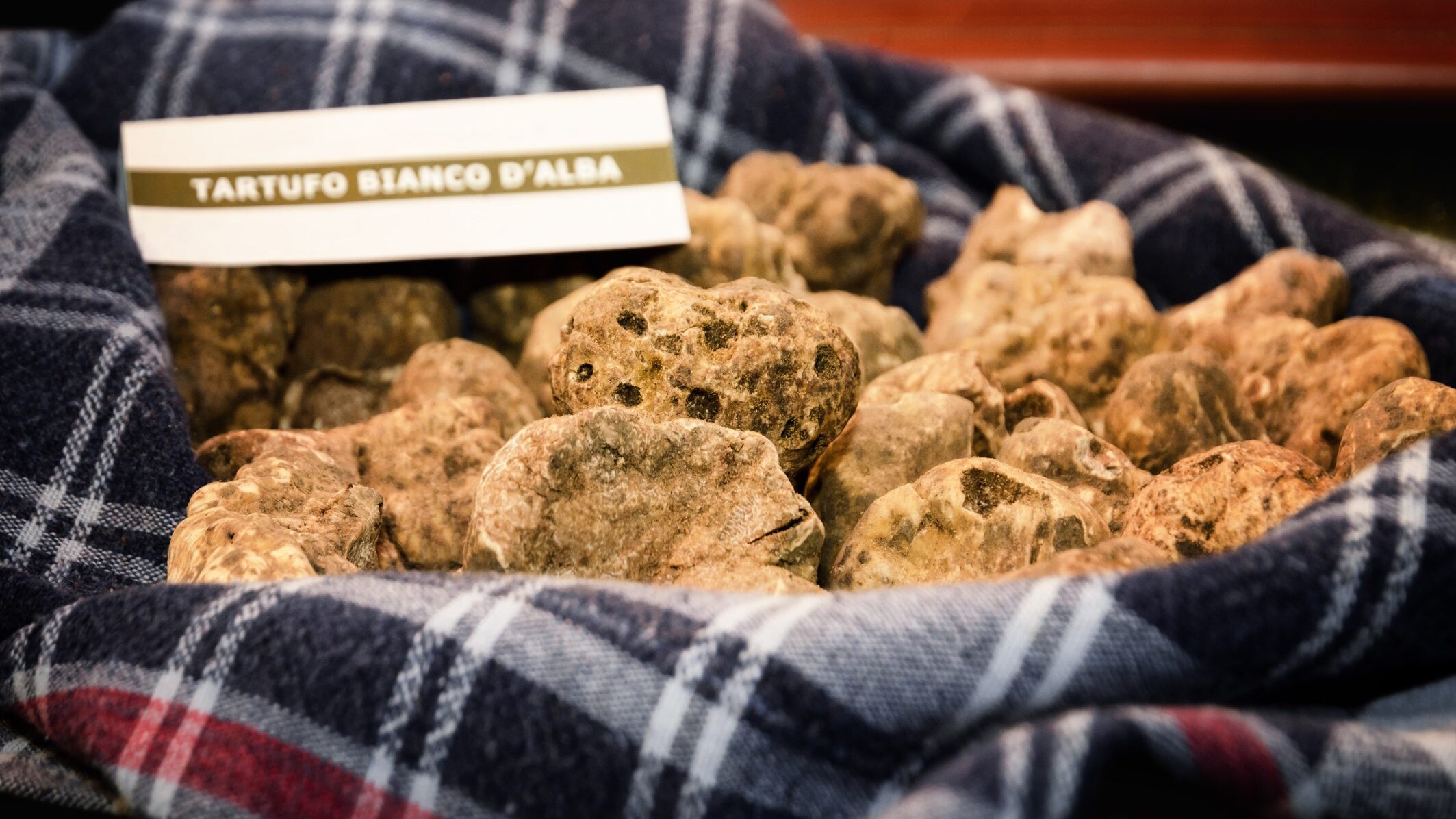 tartufo bianco pregiato
