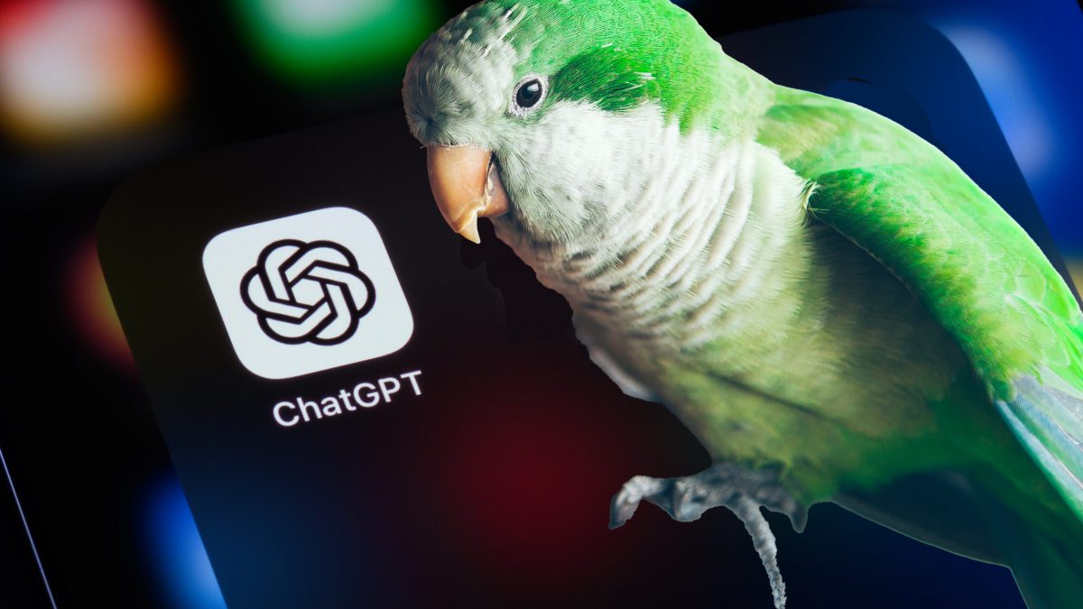 pappagallo stocastico