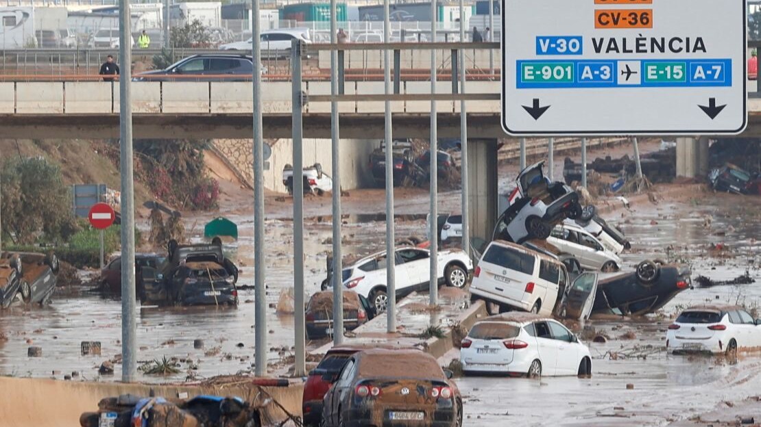 bufale alluvione valencia
