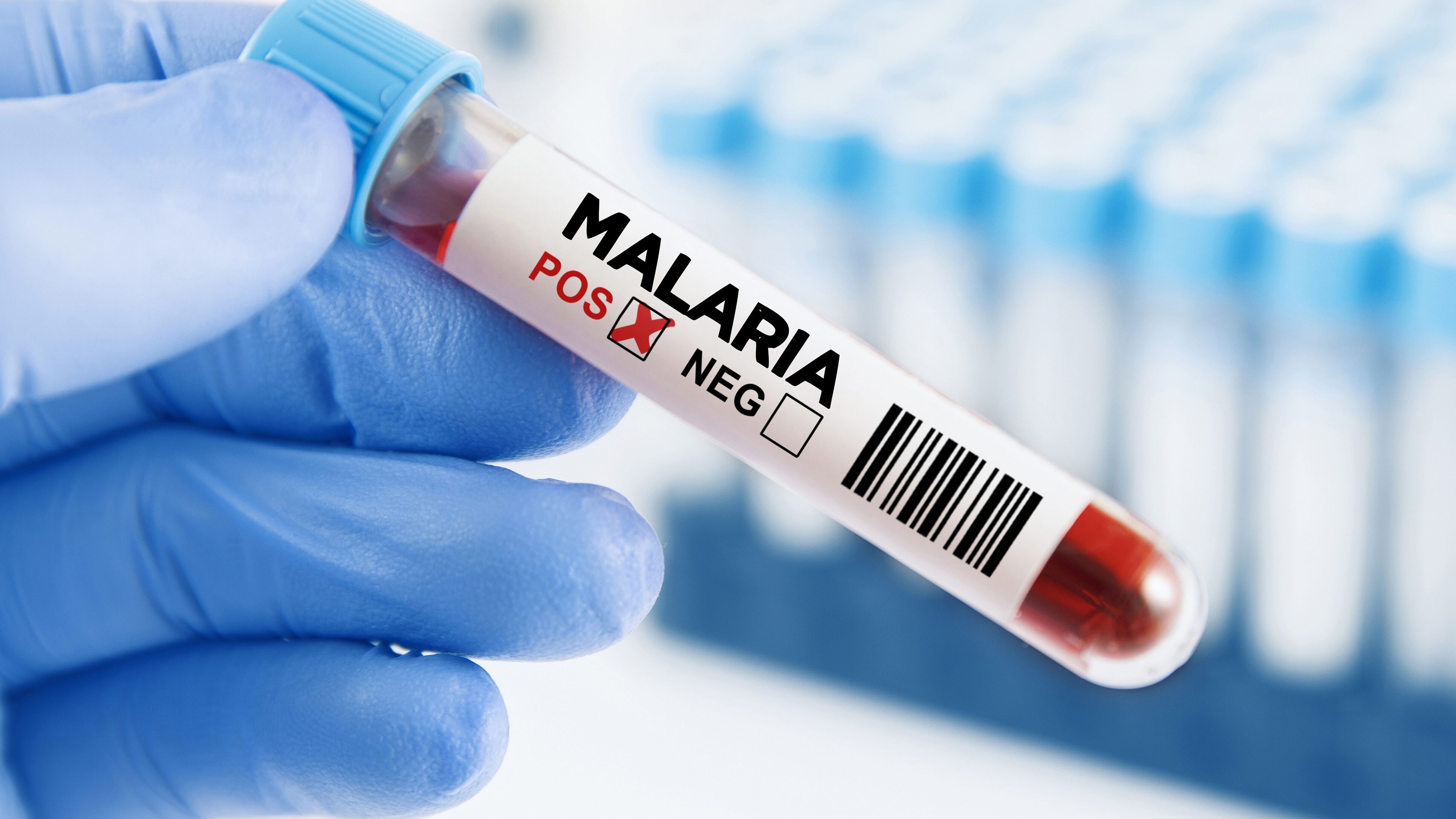 malaria verona