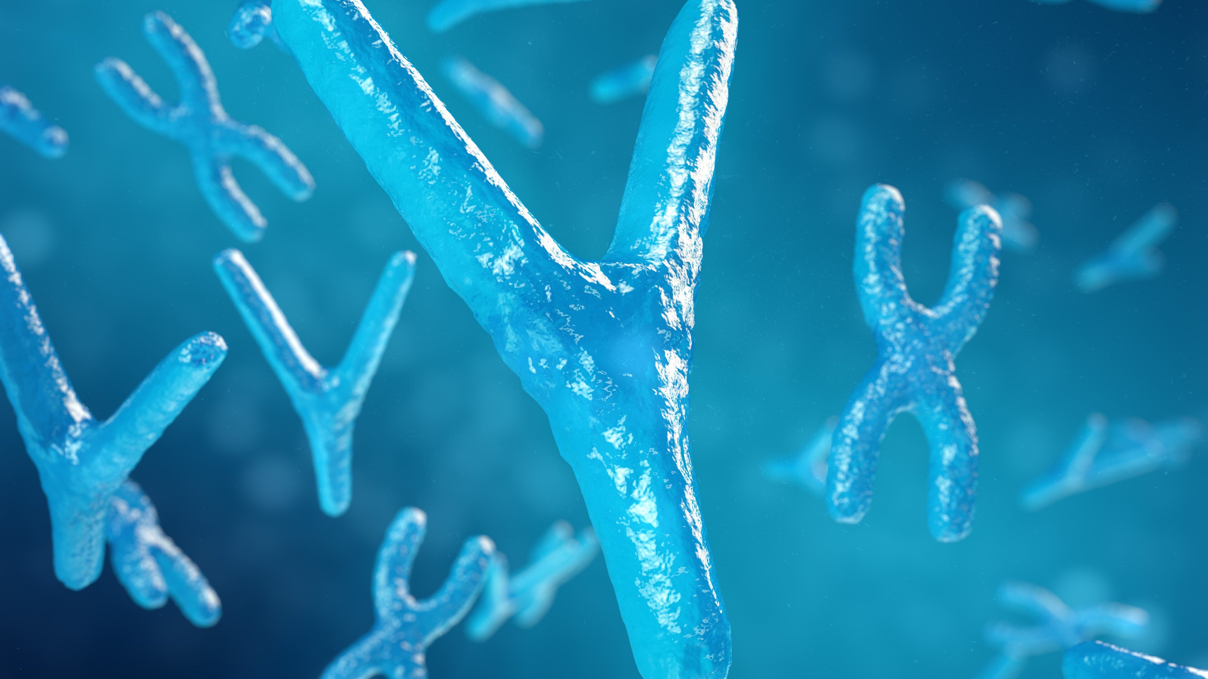 Cromosoma Y sta scomparendo