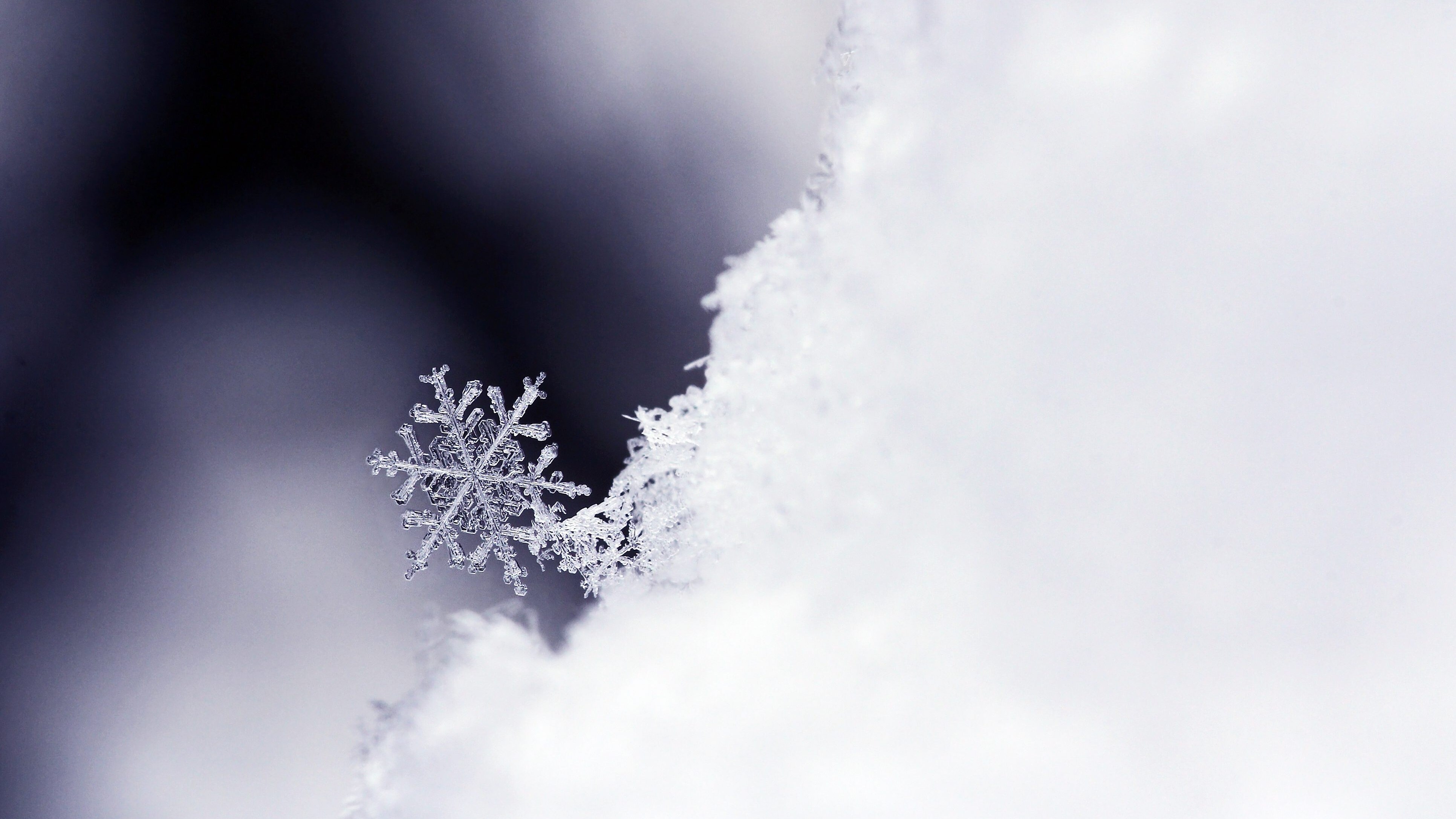 Ghiaccio trasparente neve bianca