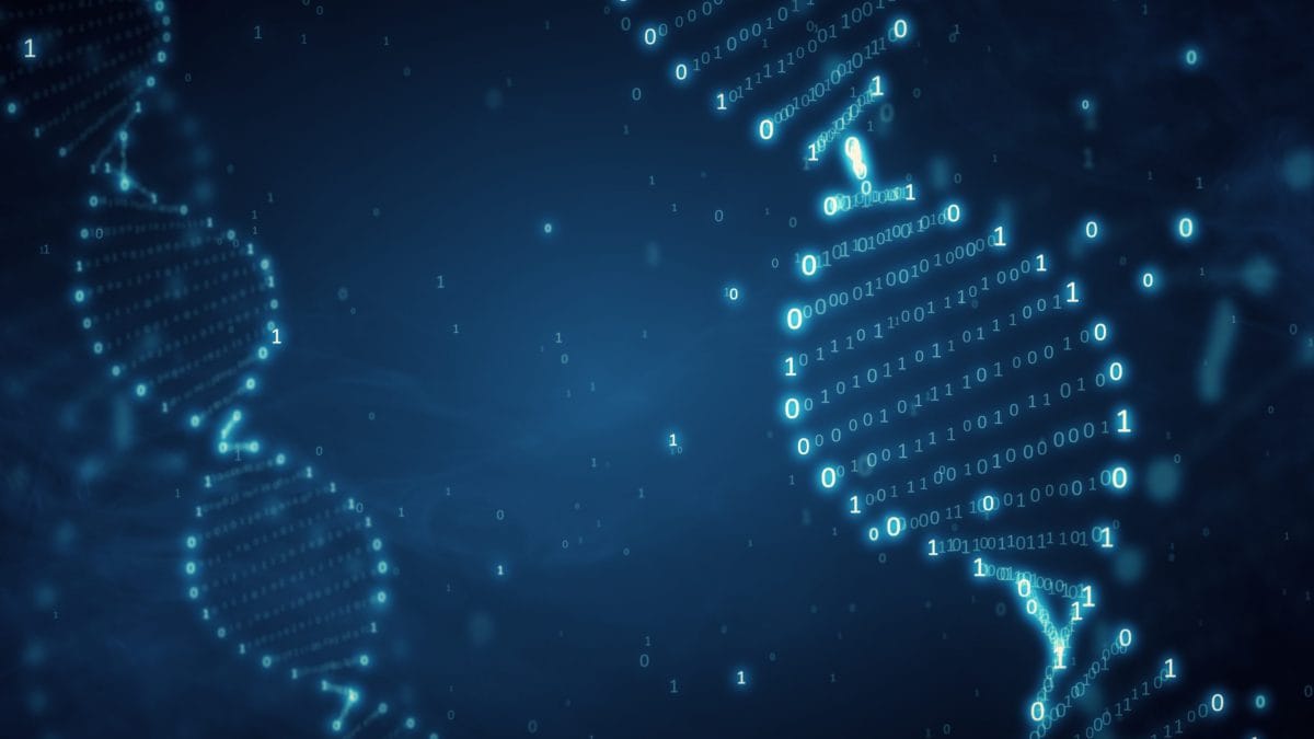 informazioni DNA