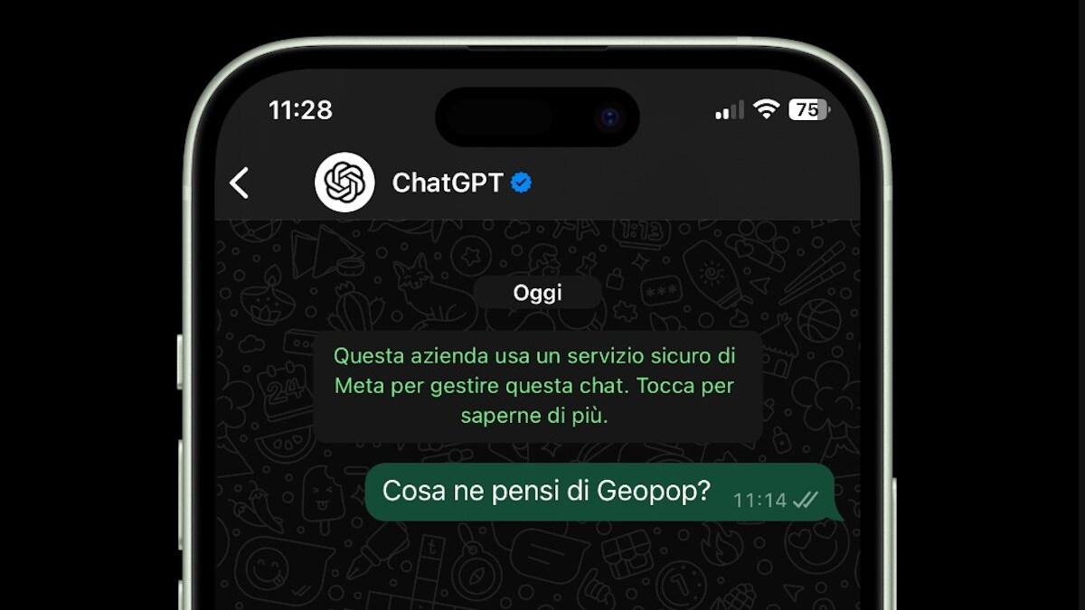 Immagine