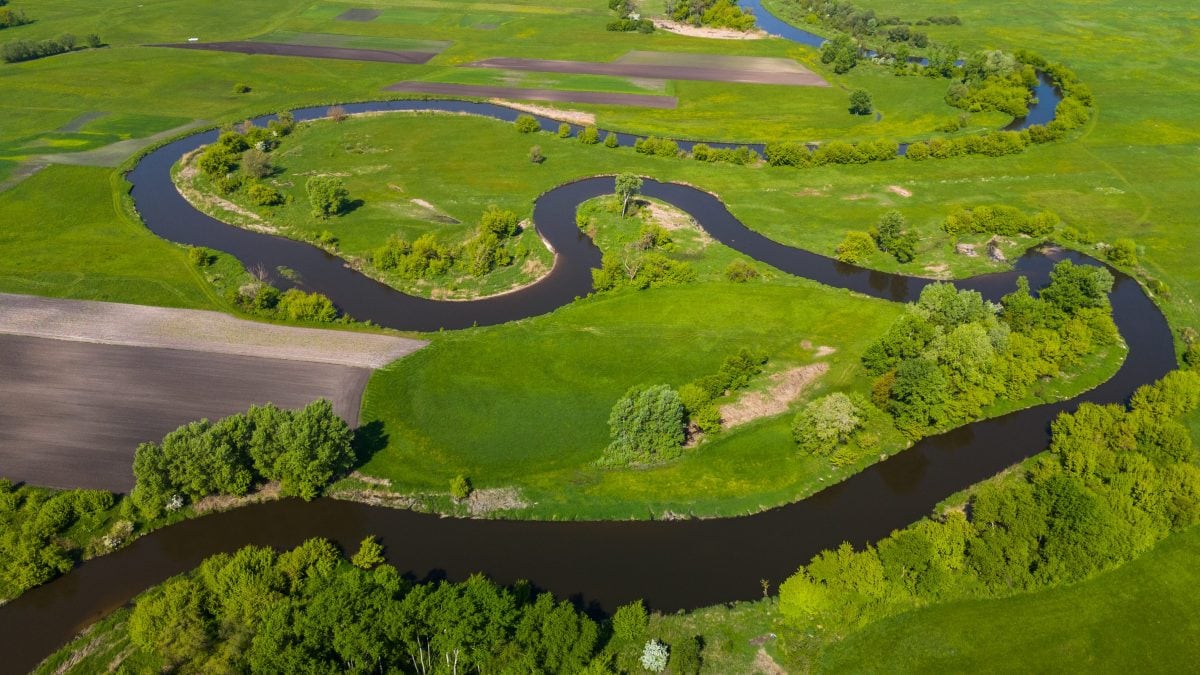 perche i fiumi hanno le anse e non vanno dritti