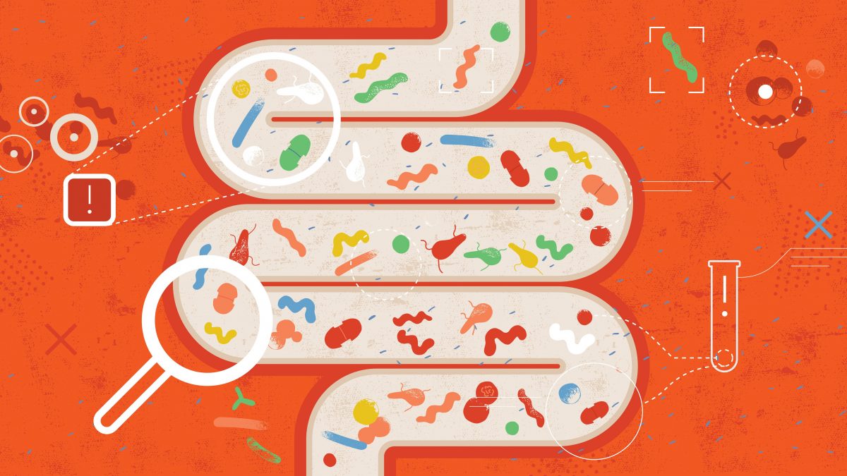 Microbiota intestinale batteri