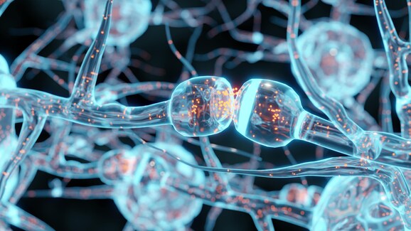 Neurogenesi nuovi neuroni