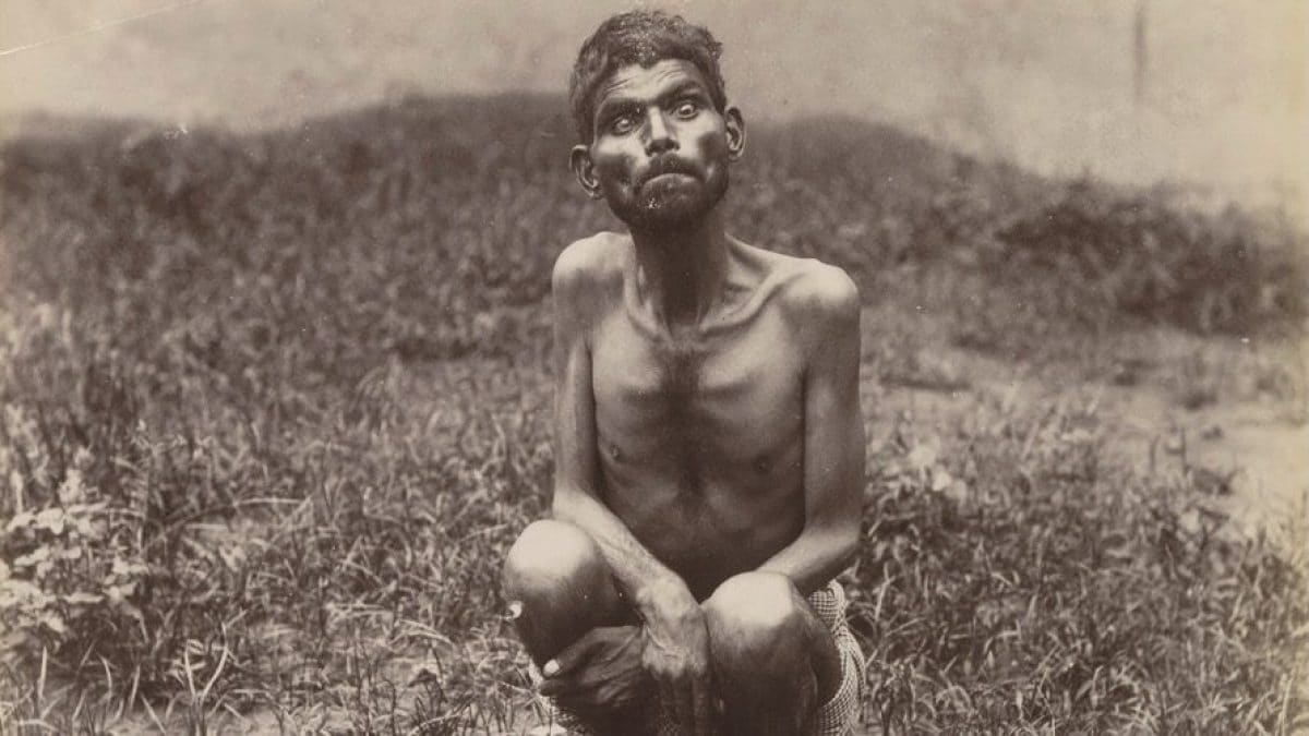 dina sanichar feral child