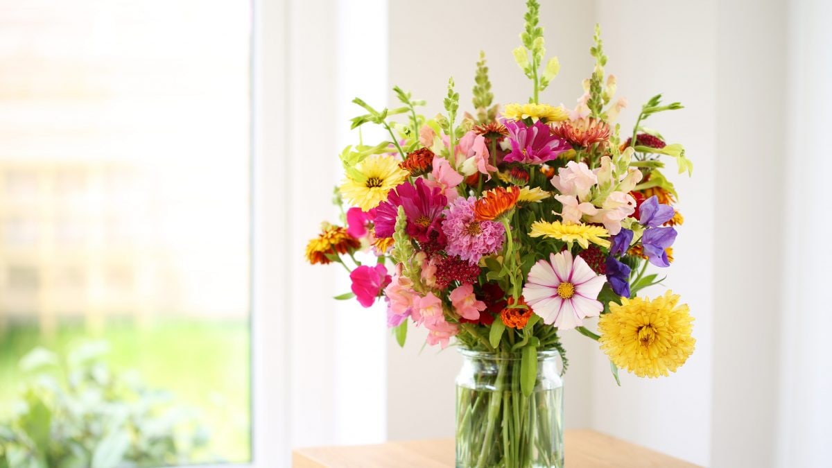 Fiori durata san valentino