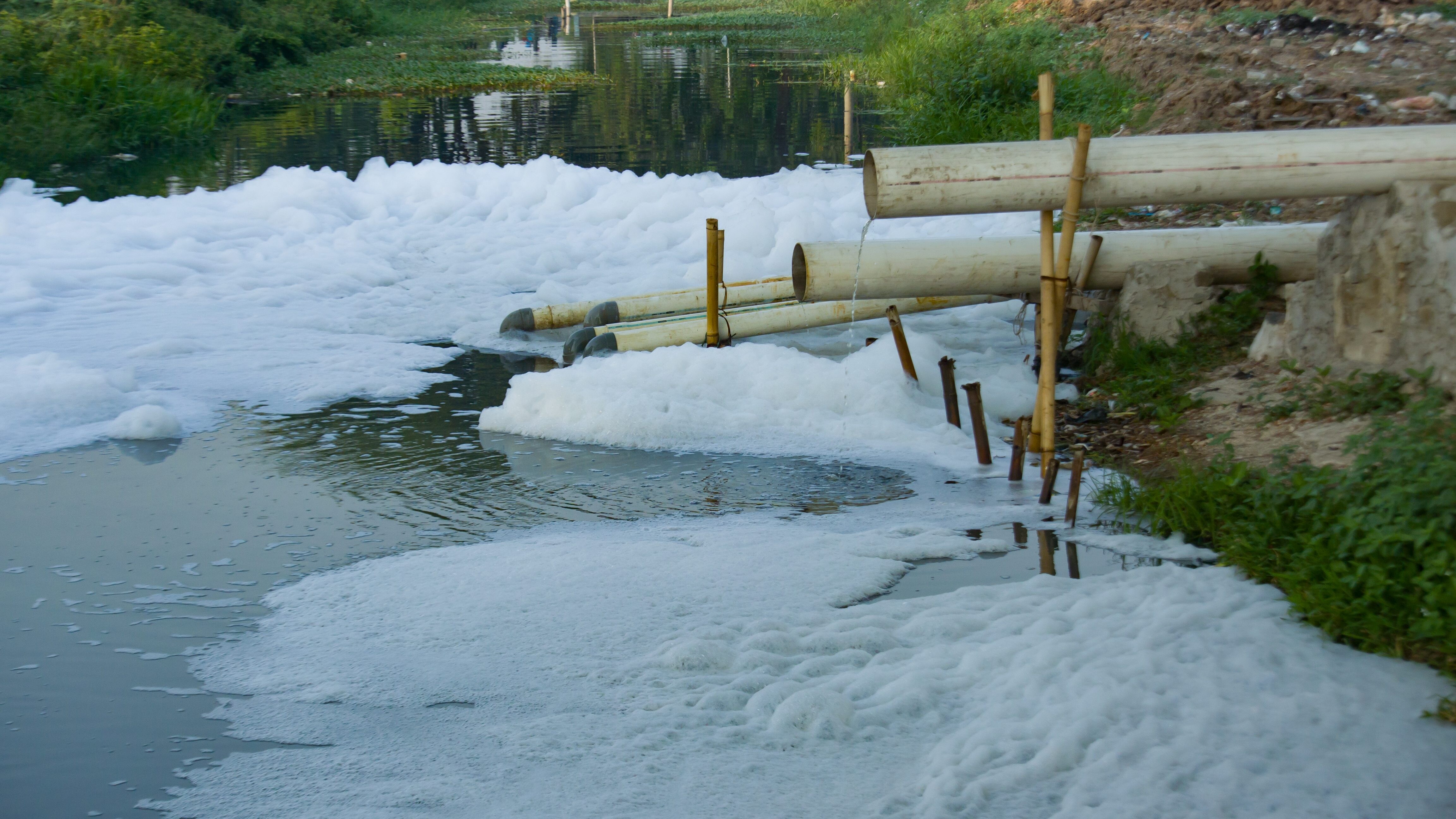Tensioattivi inquinanti