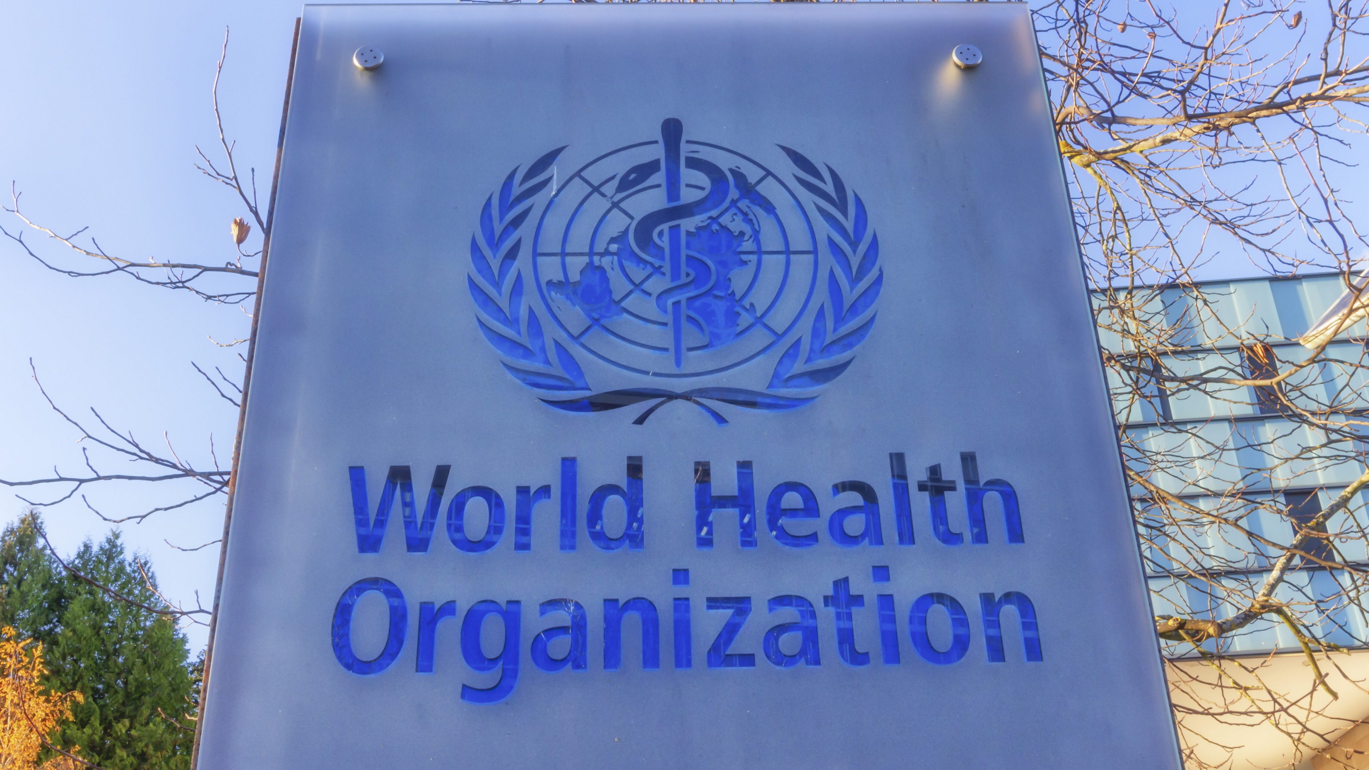 WHO OMS organizzazione mondiale sanita