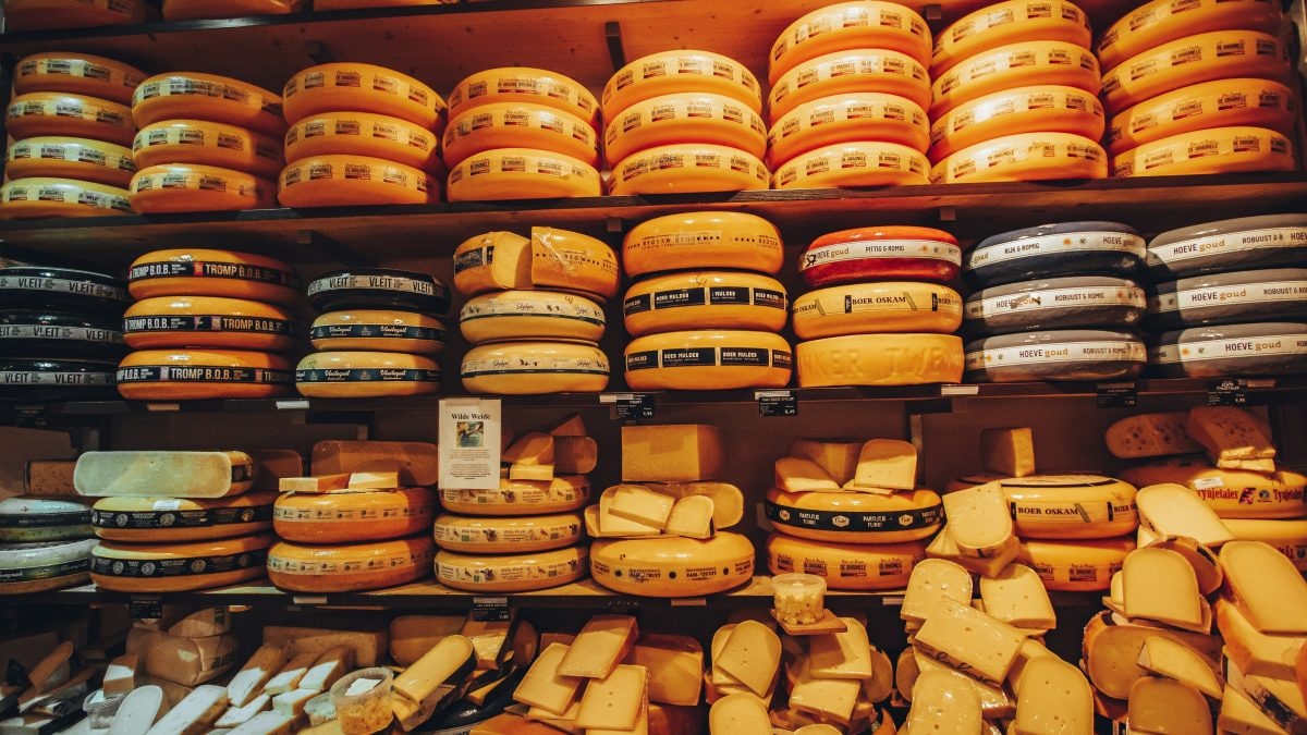 Formaggi
