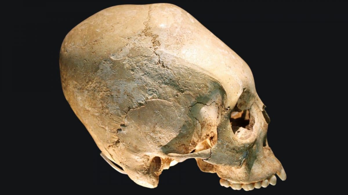 teschi paracas thumb