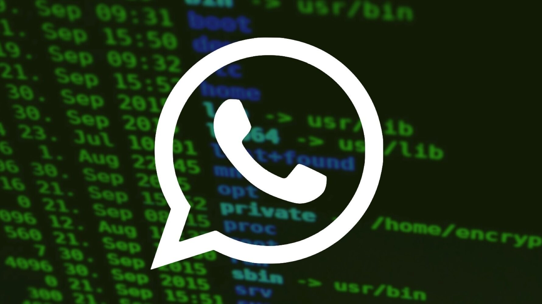 WhatsApp spiato