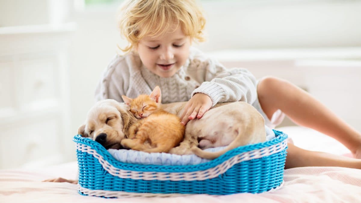 Animali domestici e sistema immunitario