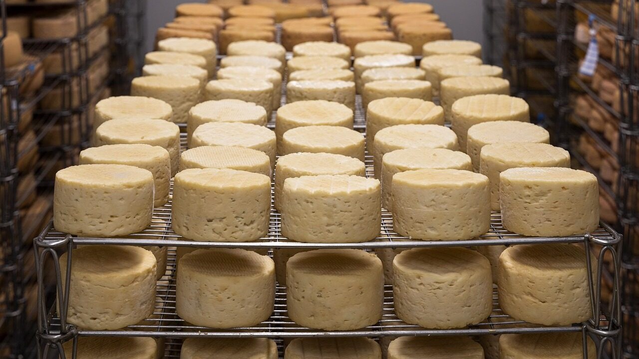 caglio e formaggio