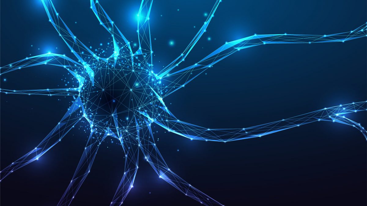 Nascita nuovi neuroni neurogenesi