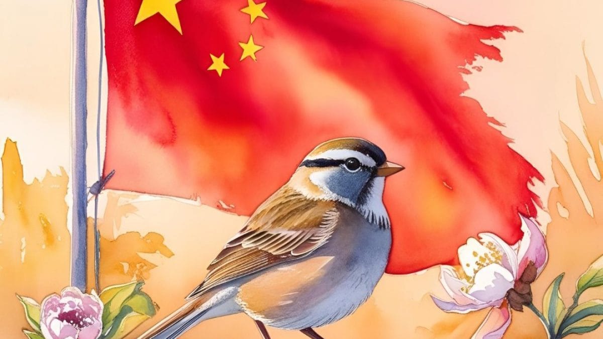 Passero Cina campagna dei quattro flagelli